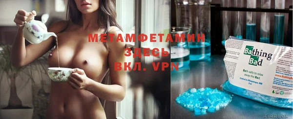 шишки Белоозёрский