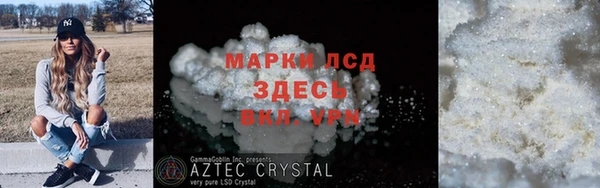 шишки Белоозёрский