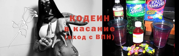 шишки Белоозёрский