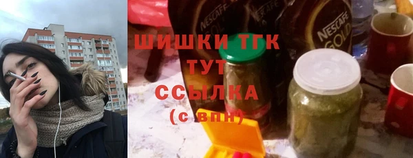 шишки Белоозёрский