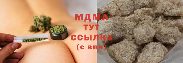 шишки Белоозёрский