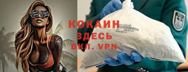 шишки Белоозёрский