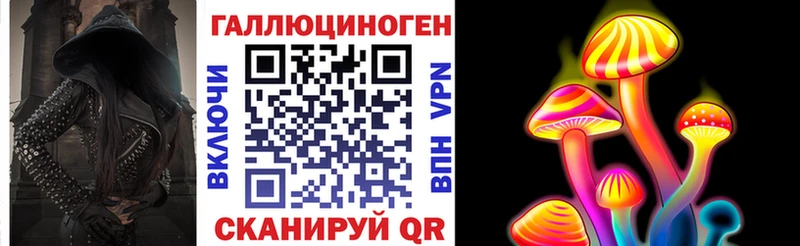 наркотики  Невель  Галлюциногенные грибы Psilocybe 